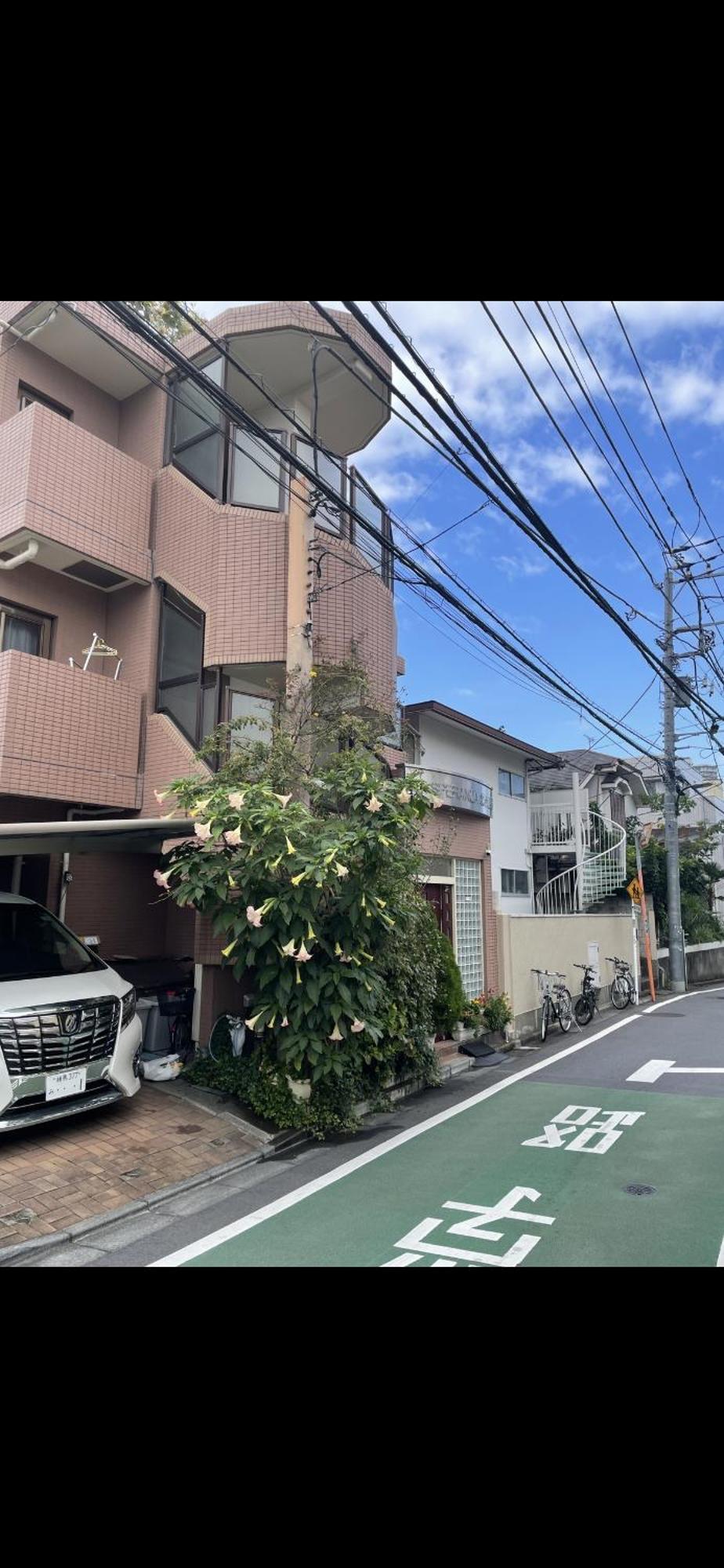 新宿安靜の家-A Quiet Home In Shinjuku - A 26 Square Meter Double Bed Room That Feels Like Home Tokió Kültér fotó