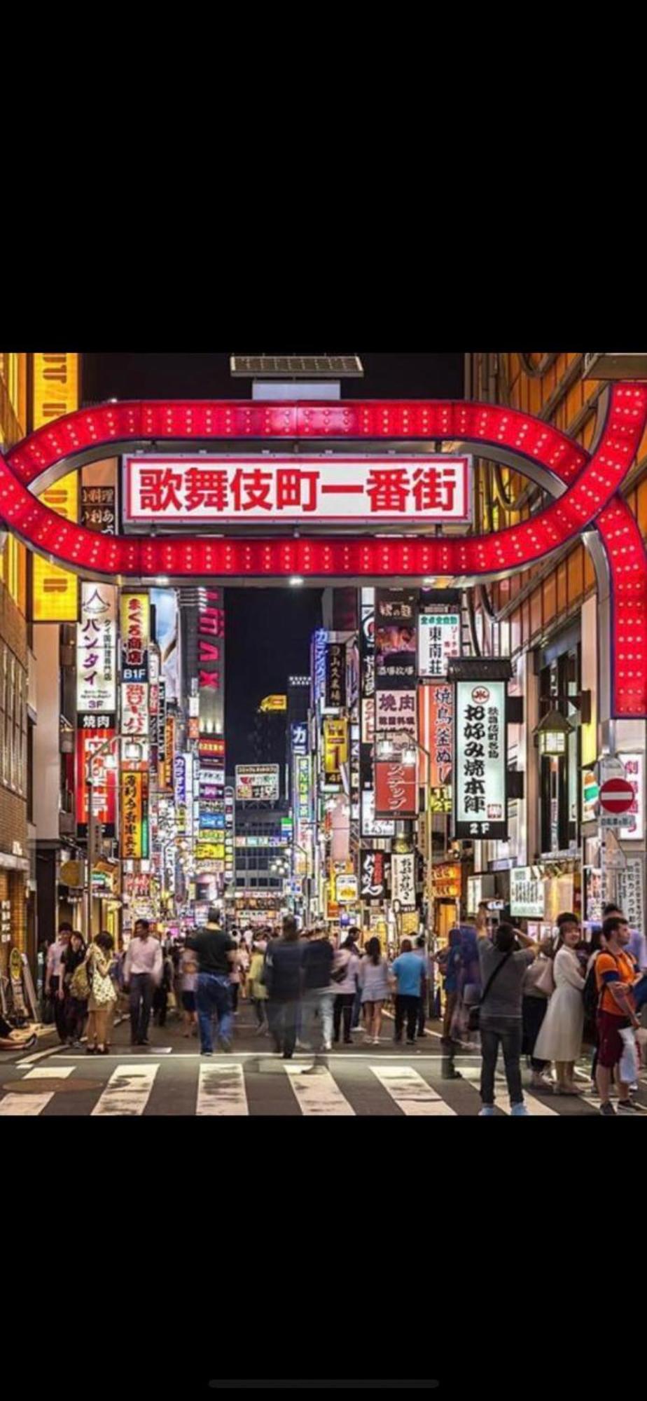 新宿安靜の家-A Quiet Home In Shinjuku - A 26 Square Meter Double Bed Room That Feels Like Home Tokió Kültér fotó